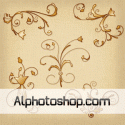 اشكال ornaments