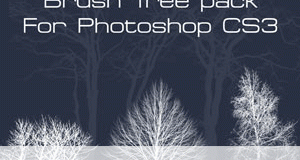 فراشي اشجار