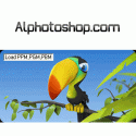 فلتر pixmap