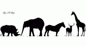 اشكال حيوانات