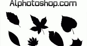 اشكال اوراق شجر