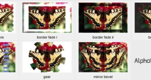 فلاتر ايطارات