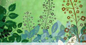 فراشي اوراق الشجر