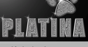 ستايل بلاتيني