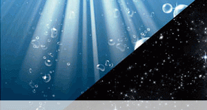 فراشي مائية