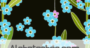 باترن Forget Me 2