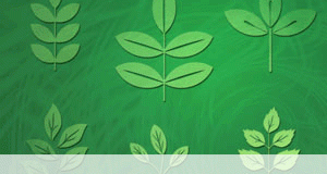 فراشي اوراق نباتية