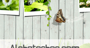 خلفية اطارات